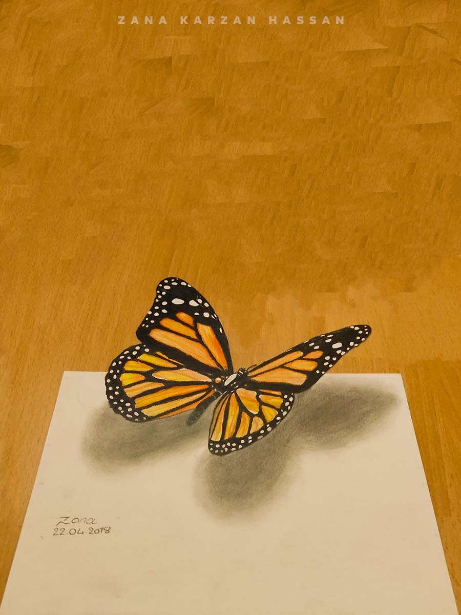 Butterfly