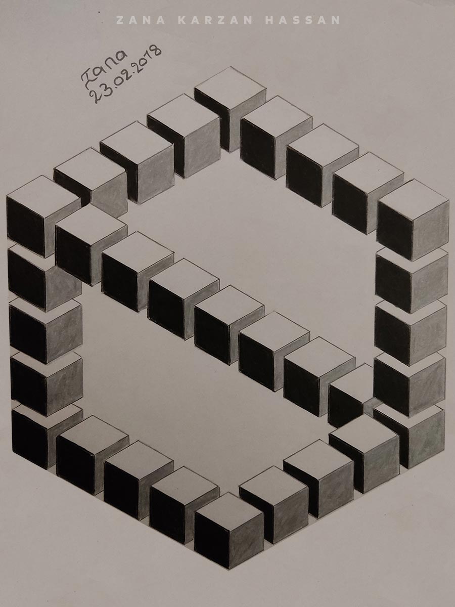 Illusion