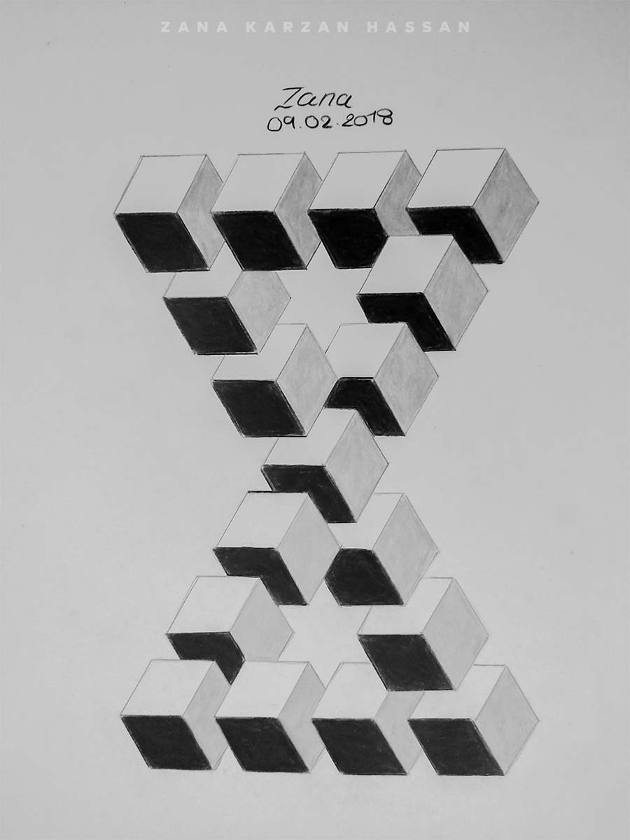 Illusion